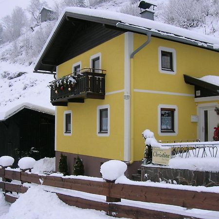 Ferienhaus Christine Taxenbach Dış mekan fotoğraf
